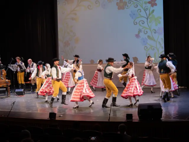 Circle dances of the adult group with live music